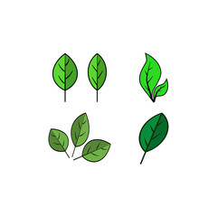 leaf icon in trendy flat design