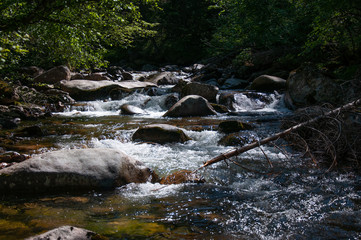 Pure water in the taiga stream far from civilization