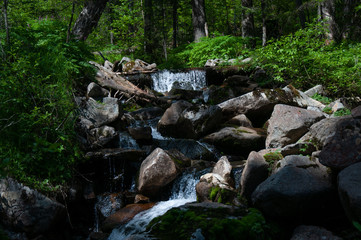 Fototapeta na wymiar Pure water in the taiga stream far from civilization