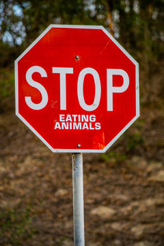 Vertical image of a tradional red traffic warning sign which has been cleverly vandalised with a sticker to read 'STOP Eating Animals'.  Clever social environment, vegentarian and vegan message