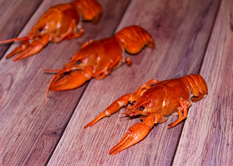 Red boiled cancer on an orange background. Beer snack. Fresh seafood. Two cancers.