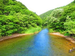 奥入瀬_上流