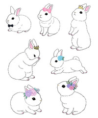 White bunny with various flower crowns, or accessories such as crowns