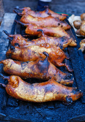 7 Guinea Pigs fresh from brick oven, Pisac Peru
