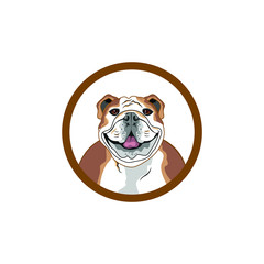 vector of Dog pitbull logo icon avatar   logo design eps format