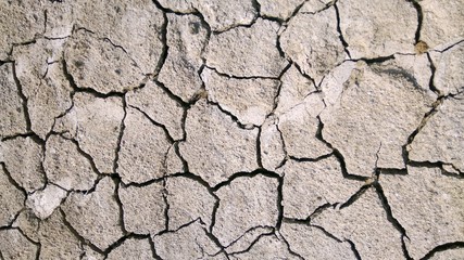 Land with dry and cracked ground.