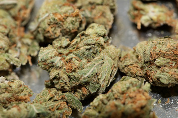 Cannabis bud medical strawberry haze macro background high quality fifty megapixels prints