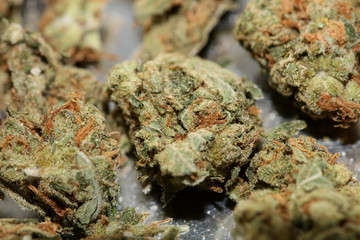 Cannabis bud medical strawberry haze macro background high quality fifty megapixels prints