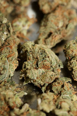 Cannabis bud medical strawberry haze macro background high quality fifty megapixels prints