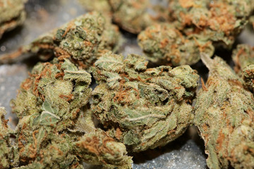 Cannabis bud medical strawberry haze macro background high quality fifty megapixels prints