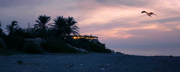 Restaurant Lara on protected tortoise beach Lara Beach at sunset