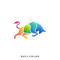 Bull Color Illustration Vector Template