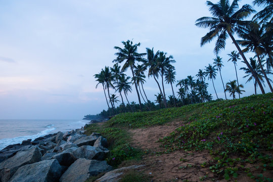 Blue hour at palm tree beach of Varkala, India
