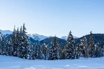 Winter view on mountains and forest in snow from Olympic village in Wistler, BC.
