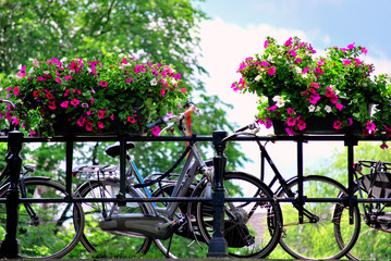 Fototapeta na wymiar Amsterdam bike and flowers on bridge overpass.