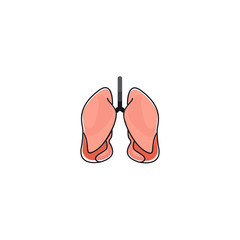 Human respiratory system color icon. Human lungs contour illustration