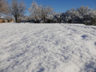 Fresh snow covers the ground by the pond on a winter morning