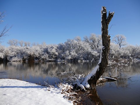 A tree stump partially covered with snow stands by the pond on a beautiful winter morning