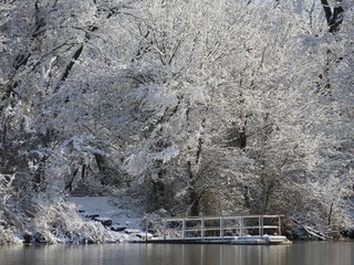 A wooden dock floats in the pond with a beautiful background of ice and snow-covered trees