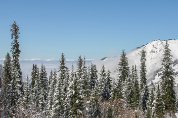 Allphotokz Tuyuk-Su 20050407 5833 20D