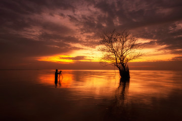 Fototapeta na wymiar Silhouette a Photographer shooting photos a tree with sunrise in the sky background.