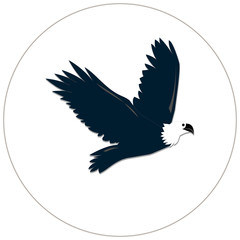 logo of a flying eagle in blue on a white background, vector
