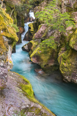 Naklejka premium stream in the forest