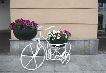 Fototapeta na wymiar basket with fresh flowers on a Bicycle