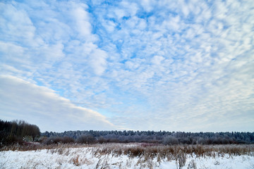 Winter landscape with blue sky and white clouds above field with snow and forest on the horizon