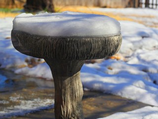 Close up of a bird bath with a layer of snow on top of it