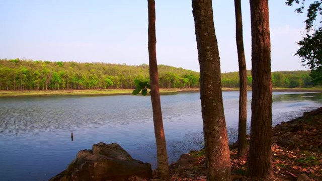 4K video of natural view in Mae Puem national park, Thailand.