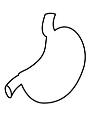 Obraz premium 胃(線画)