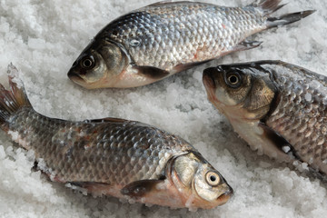 Raw fishes on salty background. Healthy eating ingredient