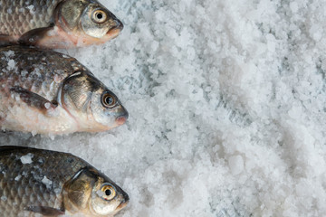 Raw fishes on salty background. Healthy eating ingredient