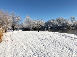 Pristine snow covering the ground by the pond on a  beautiful winter morning