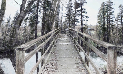 Forest background rustic old wooden walking bridge snowy winter scene