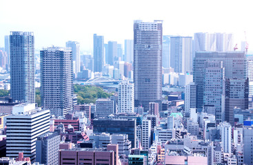 Fototapeta premium Aerial view on Tokyo, Japan
