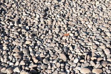 pebbles on the beach