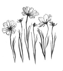 Set of wildflowers, hand-drawn in black ink. Design element for patterns, wallpapers6 prints, cards, weddings, tattoos. Elegant and simple sketch.