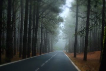 Fototapeta premium Destination unknown