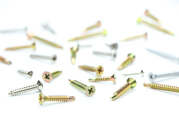 Various self drilling screw, isolated on a white background.