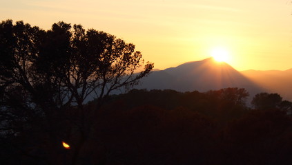 evocative image of sunset with silhouette of mountains in the background  and tree in the foreground
