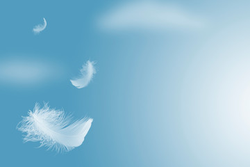 Soft white feathers floating in the air with copy space