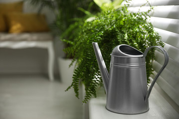 Beautiful plants and watering can on window sill at home. Space for text