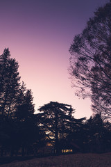 Obraz premium 秋の公園 黄昏のサンセット 縦