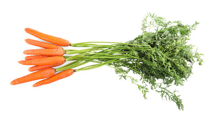 Bunch of fresh ripe carrots isolated on white