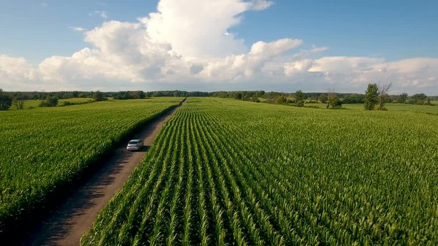 Aerial view of summer crops in Canadian farm land & car on the road