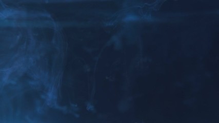 Paint brush is place in water. The artist draw picture. Paintbrush with acrylic blue ink dipped in liquid. Real visual effect fraction in form of cloud video magic and spray in liquid by drop.