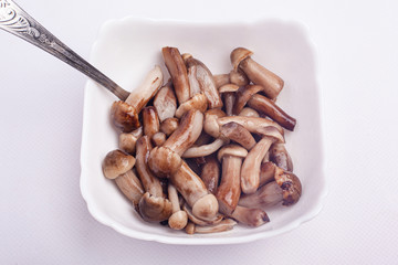 pickled honey agaric. mushrooms honey fungus in a white plate.