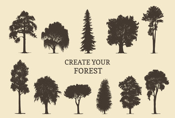 Hand drawn silhouettes of different trees. Create your own forest. Vector sketches of coniferous or deciduous woods. © vladayoung